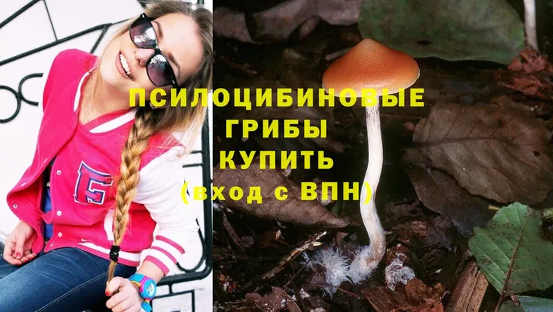 Галлюциногенные грибы Cubensis  Зарайск 